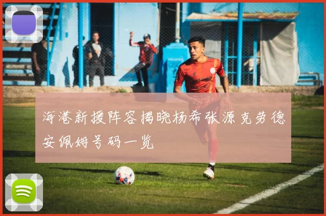 海港新援阵容揭晓杨希张源克劳德安佩姆号码一览