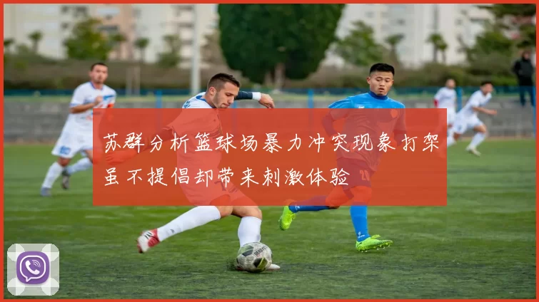 苏群分析篮球场暴力冲突现象打架虽不提倡却带来刺激体验
